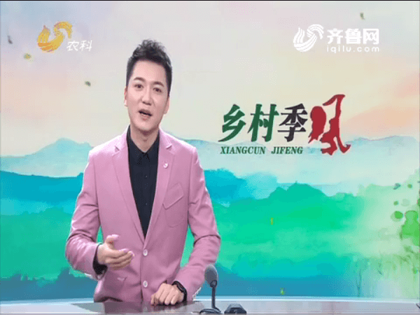 長毛兔兔毛迎來新生機(jī)