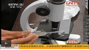 網(wǎng)絡(luò)電視臺-[科技苑]公為迎養(yǎng)兔有絕招