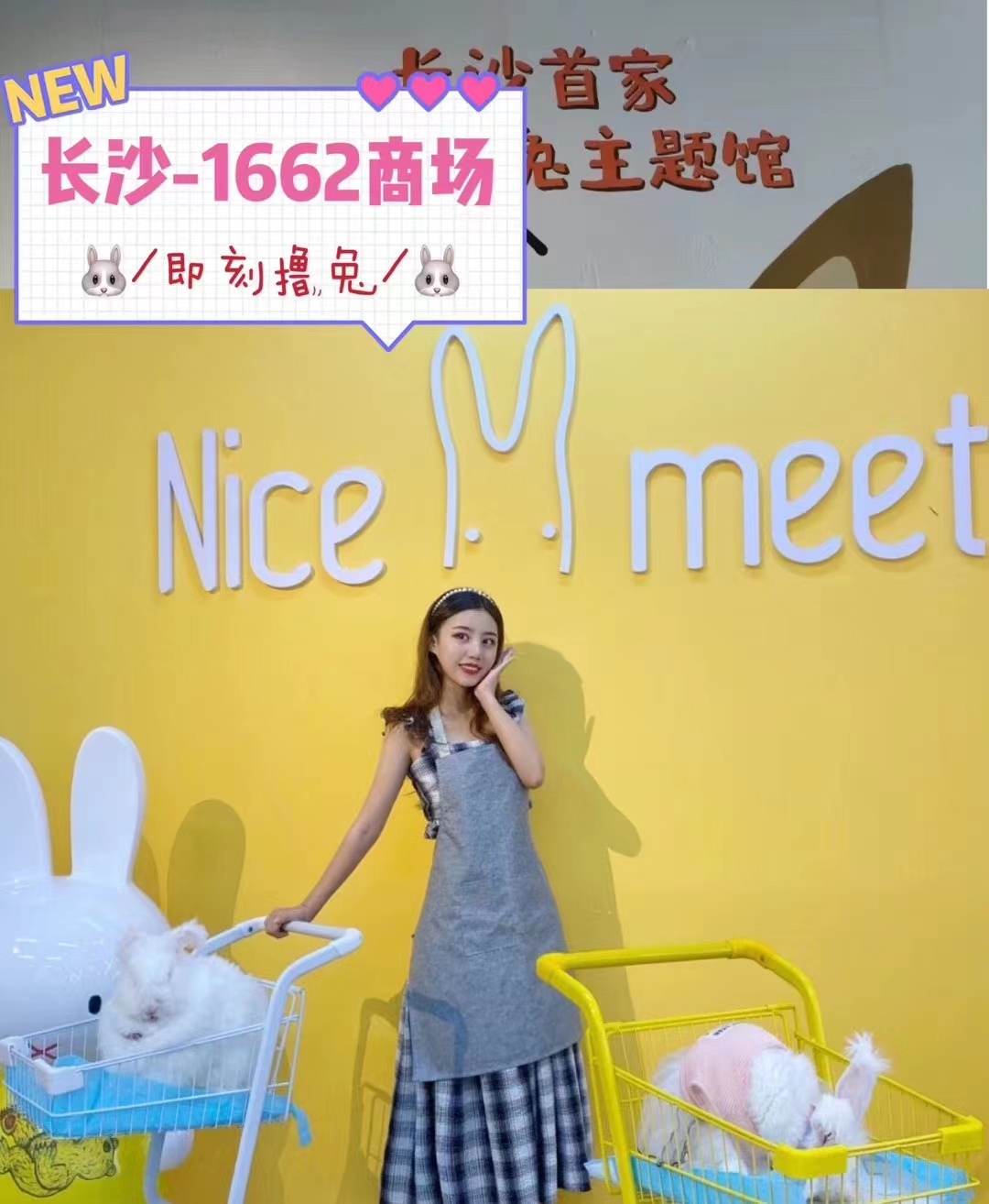 如何避免長毛兔品種退化？