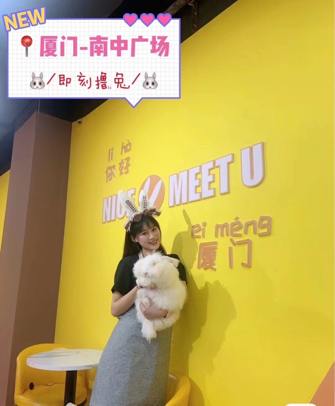 長毛兔高附加值在哪？從品種特性到萬元奢侈品的價值鏈條揭秘